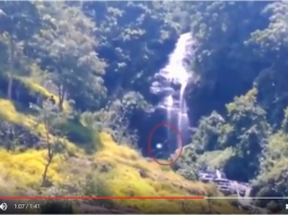 Inikah Penampakan Bigfoot di Indonesia?