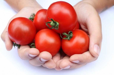 Sayur yang mengandung antioksidang tinggi, tomat