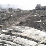 A general view shows the site of a Malaysia Airlines Boeing 777 plane crash in the settlement of Grabovo in the Donetsk region