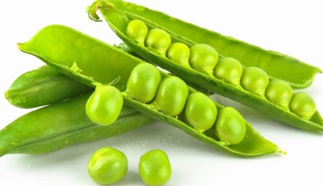 Kacang Polong, Makanan Yang Mengandung Protein Nabati