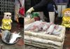 Cho Kucing Asal Vietnam yang Sempat Viral Karena Jaga Ikan