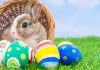 Kelinci Paskah dan Telur Hias